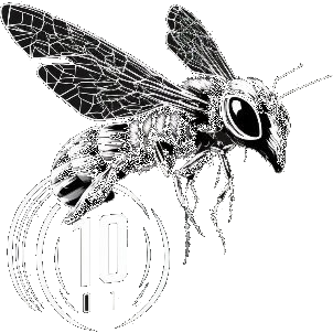 API Top10 logo